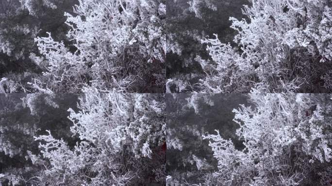 狂风大雪冬季极度寒冷