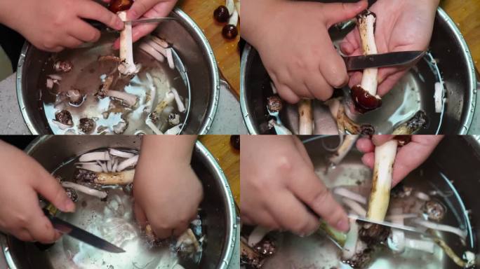 镜头合集清洗松茸切松茸片洗蘑菇切蘑(1)