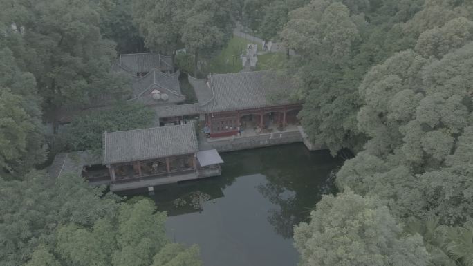 温江 公园 绿地