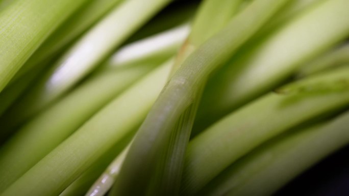 镜头合集时令蔬菜水芹菜野芹菜江(2)