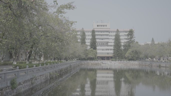 版权灰片素材】学校 学校空镜 校园 大学