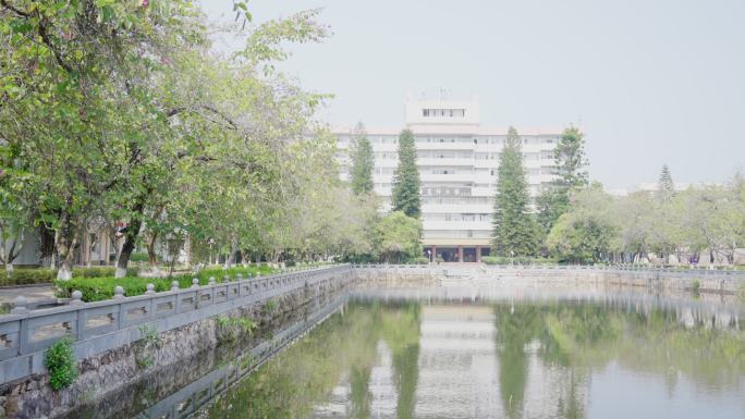 版权素材】学校 学校空镜 校园 大学