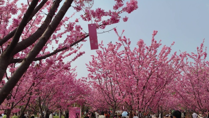 四川成都新都漫花庄园