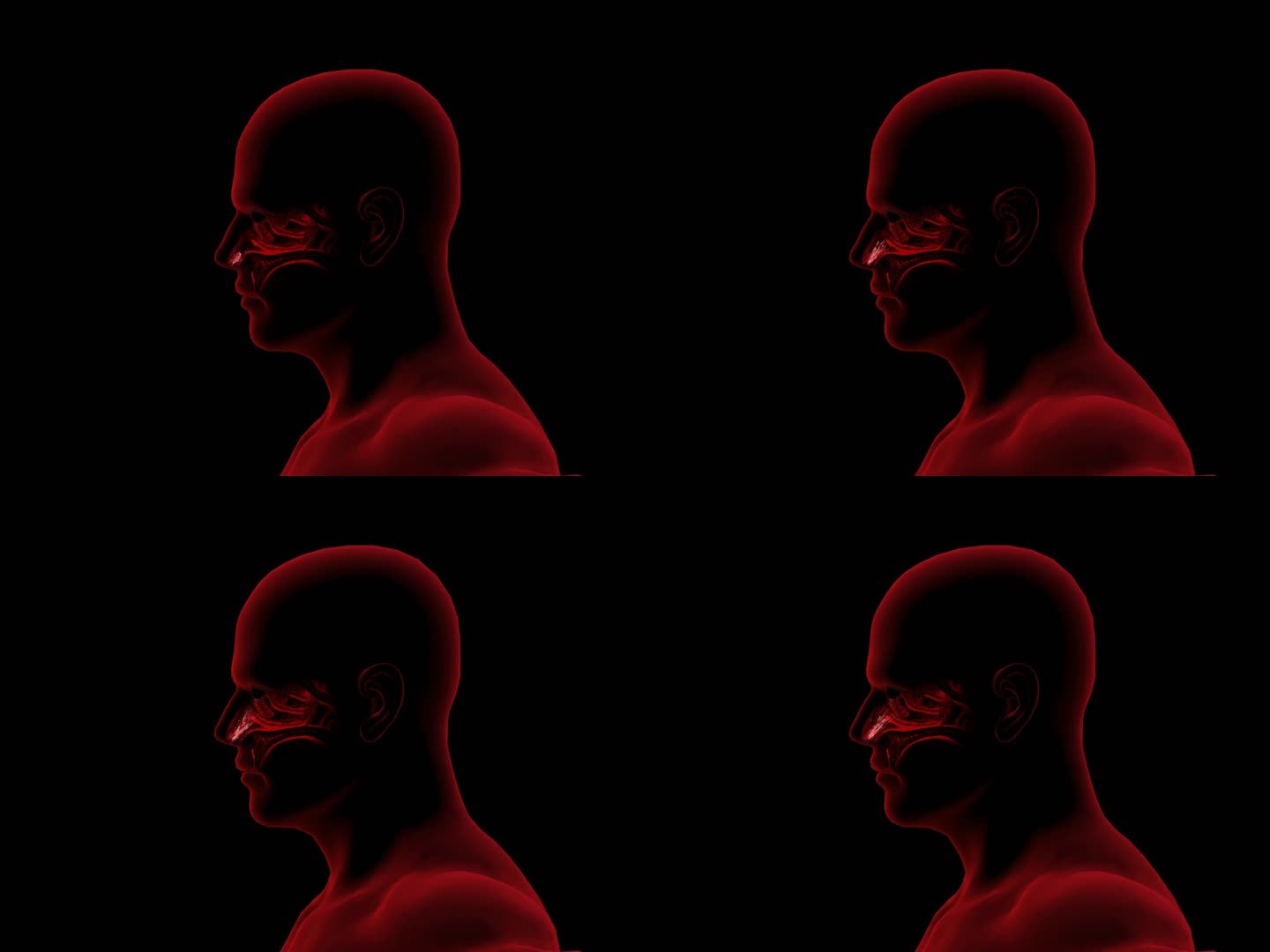 红色男人鼻炎经过红光治疗变正常