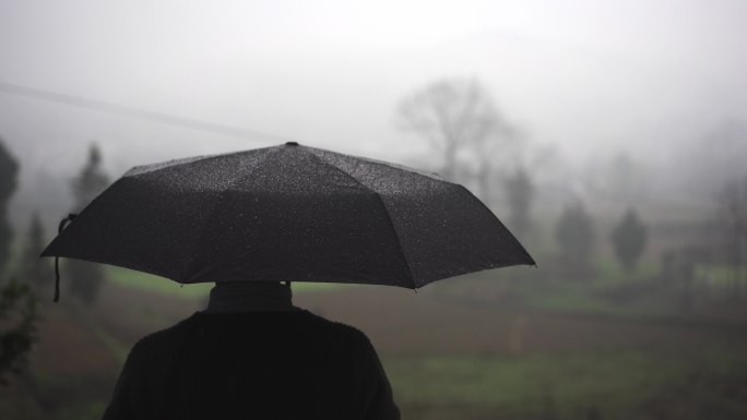 一个人撑着伞在雨中凝望远方