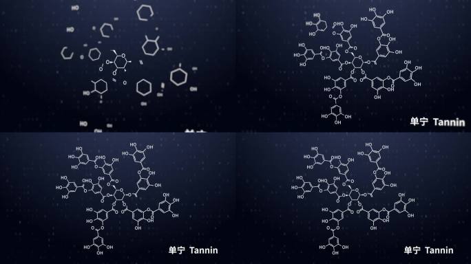 单宁分子结构图