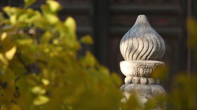 北京秋天 西山大觉寺 千年银杏