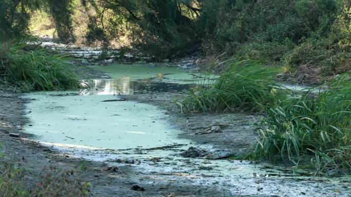 环保  河流 污染 污水