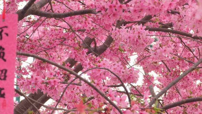 四川成都新都漫花庄园