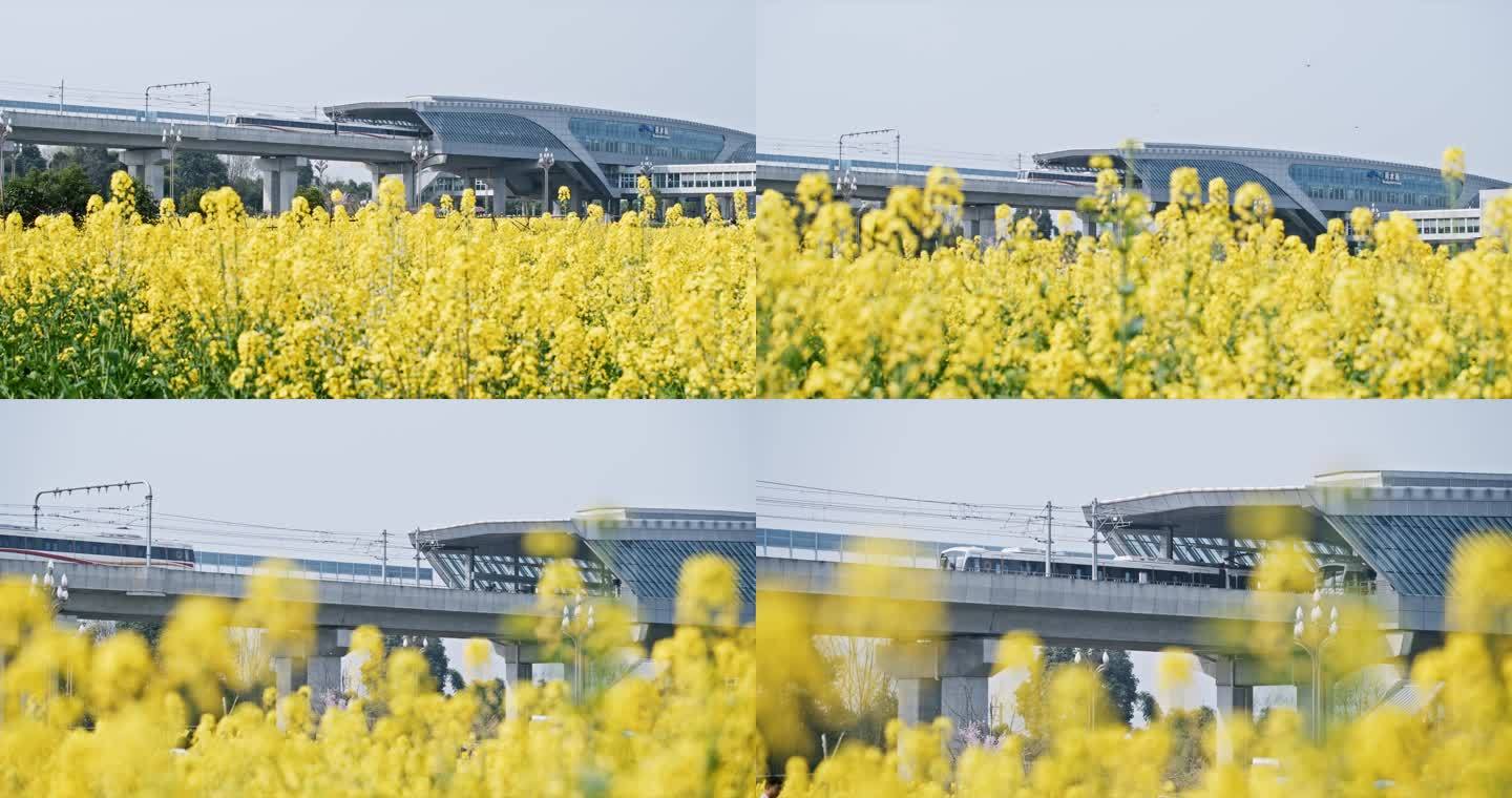 成都地铁10号线黄水站春天