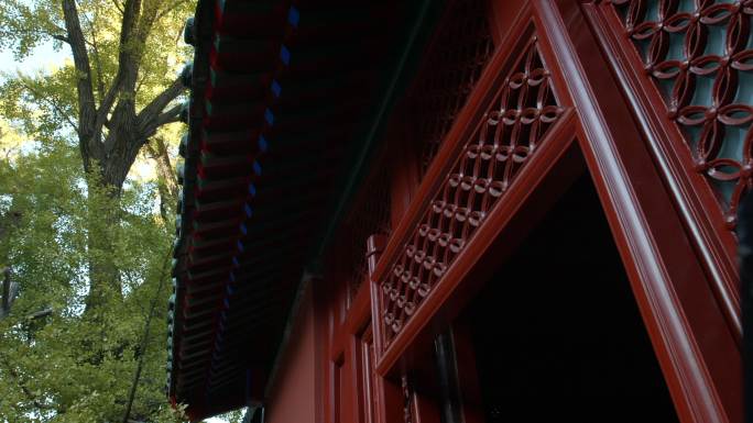 北京西山大觉寺 古刹 松柏