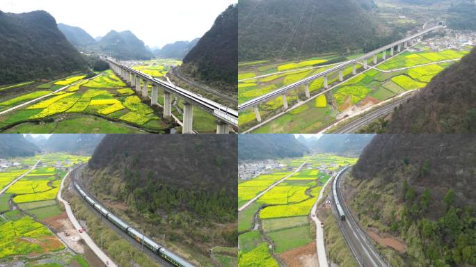 航拍高铁春天从油菜花田野间开过的高铁火车