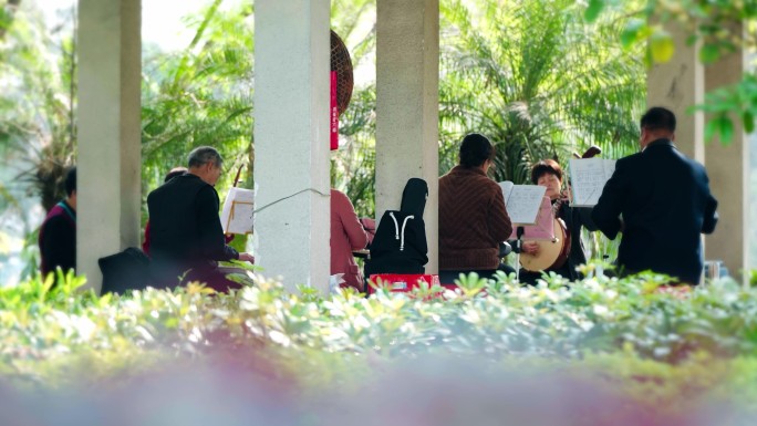 一群老人公园乐器演奏