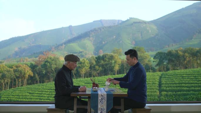 茶叶茶园泡茶茶山白茶特写水中茶叶泡茶沏茶