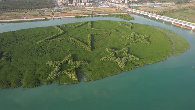 厦门下塘尾湿地公园