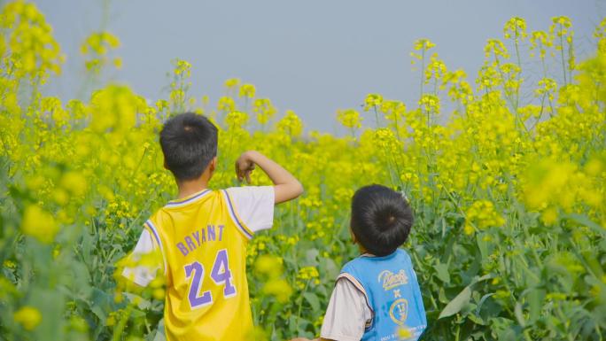 奔跑放纸飞机快乐成长油菜花花海田园