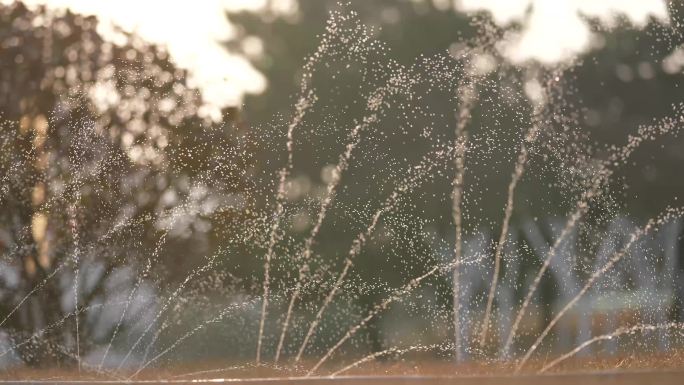 洒水浇水灌溉