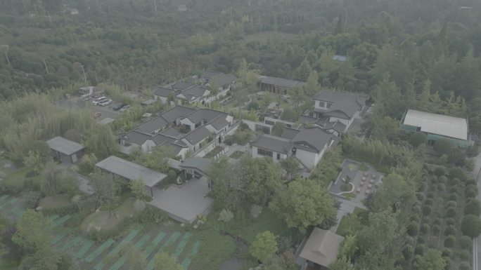 温江 公园  景点 古建 书院 康养