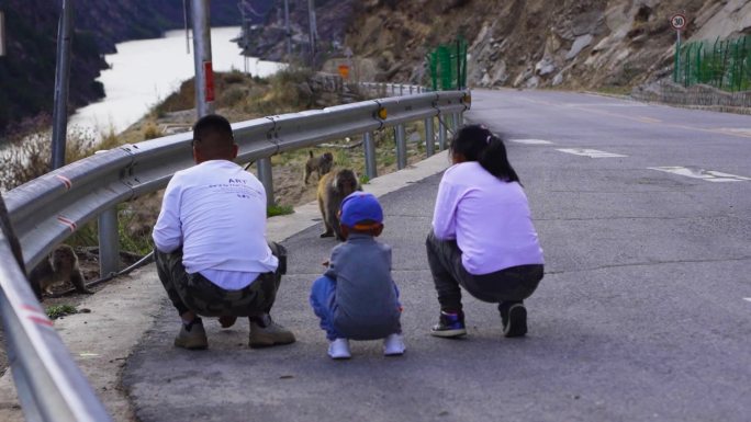 一家三口喂养猕猴 路过山谷遇见猕猴