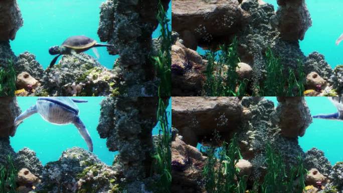 沉浸式全息投影海底世界-大鱼冲屏