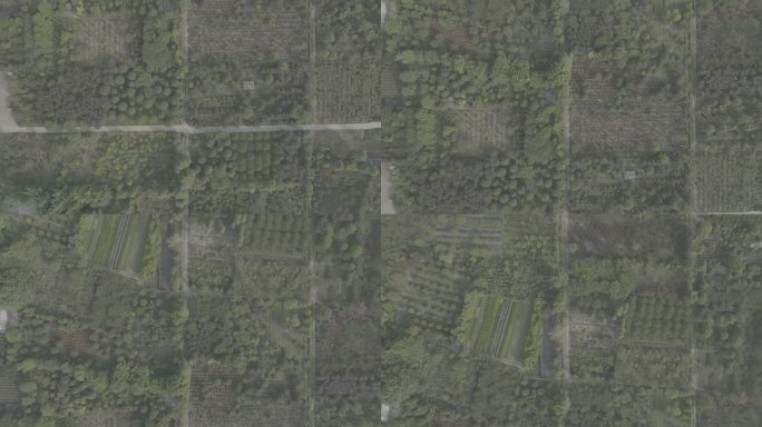 温江 公园  景点 古建 书院 康养