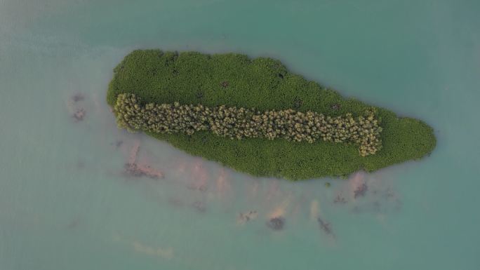 厦门下塘尾湿地公园