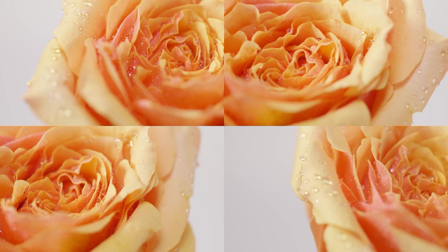玫瑰水珠精华成分旁边可出字幕护肤品素材