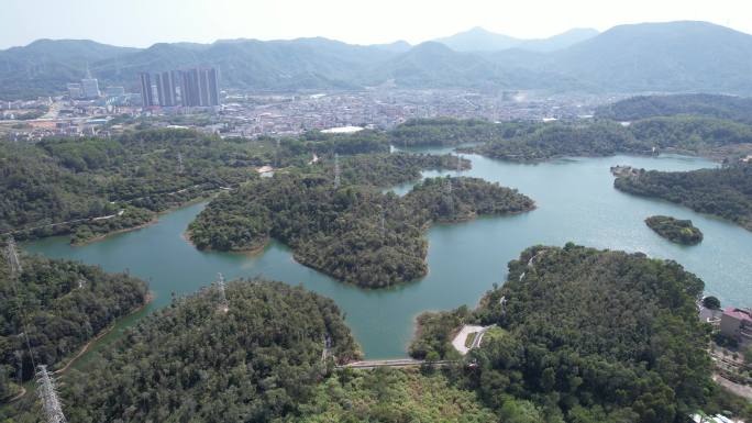 【正版素材】深圳炳坑水库碧道