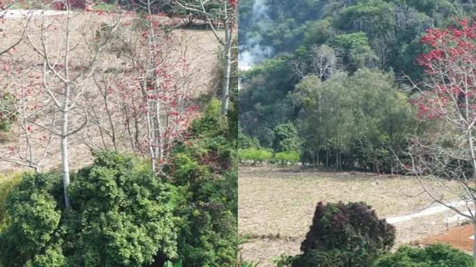 高清竖屏航拍扶绥左江风光