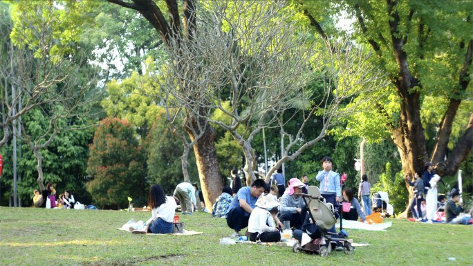 公园游客野餐露营游玩