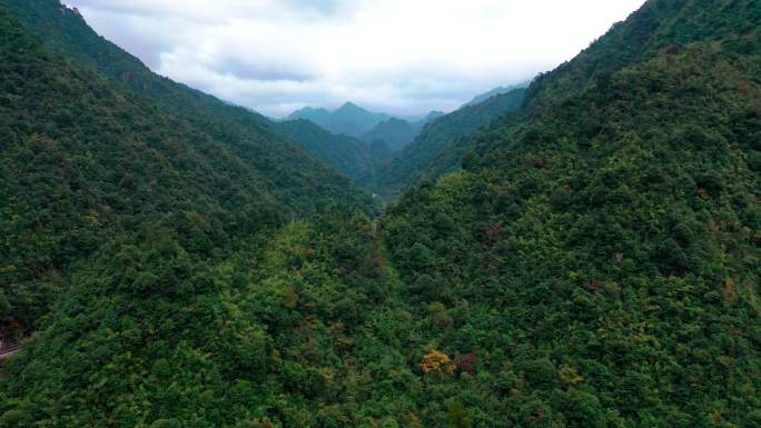 宜章莽山风光云雾风光航拍