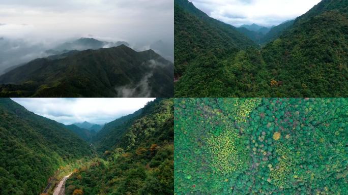 宜章莽山风光云雾风光航拍