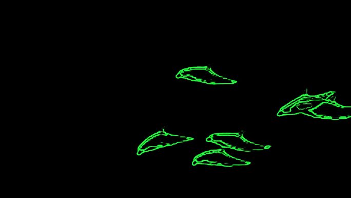 户外激光表演-山体激光秀激光海豚
