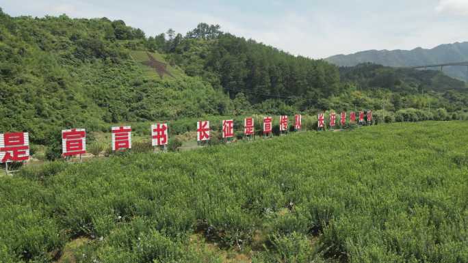 汝城沙洲半条被子发生地红军长征奈李航拍