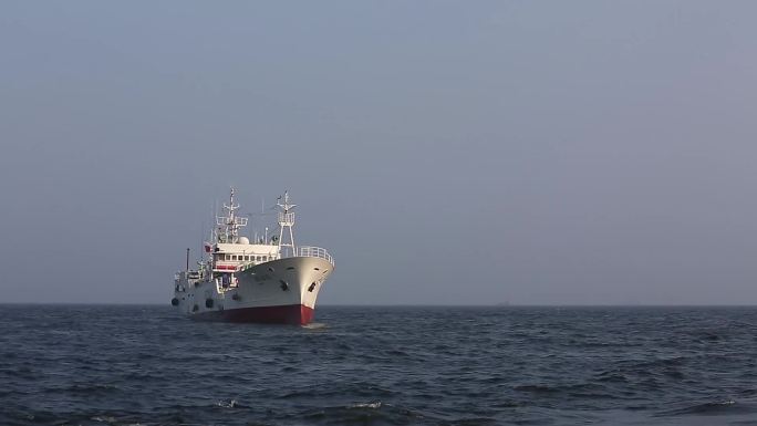 渔船 游轮 码头 坐船 出海 海上运输