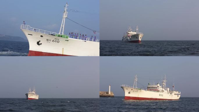 渔船 游轮 码头 坐船 出海 海上运输
