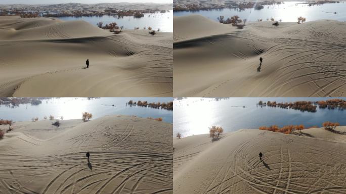 新疆塔克拉玛干沙漠胡杨林实拍航拍俯视全景
