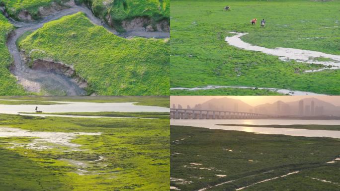 绿色新城 湿地公园 青山绿水 和谐社会