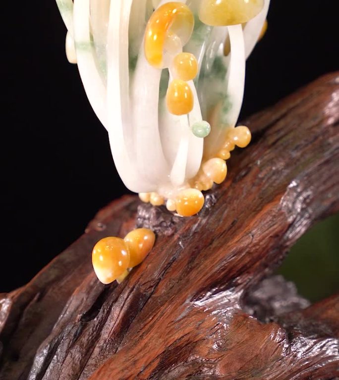 青蛙蘑菇翡翠玉石雕刻特写展示玉雕展示摆件