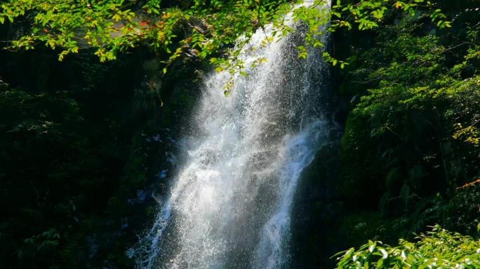 瀑布之水飞流直下丛林瀑布升格井冈山瀑布