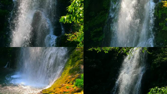 瀑布之水飞流直下丛林瀑布升格井冈山瀑布