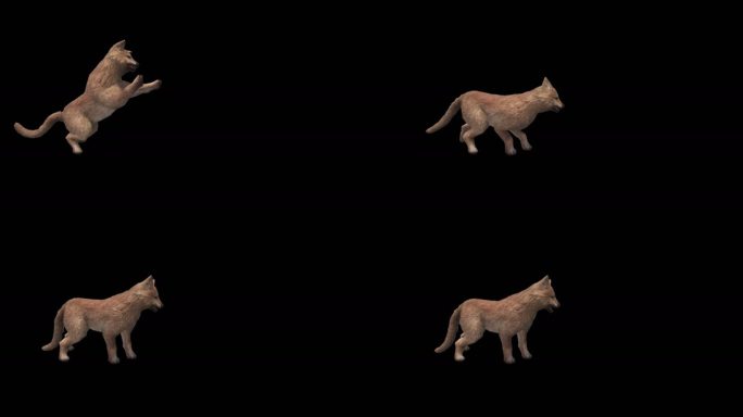 狼动画三维动物带通道