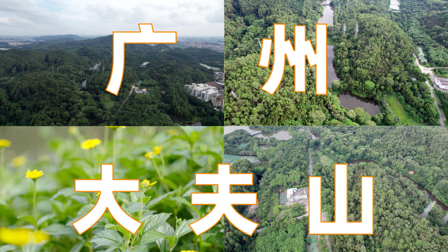 【原创4K】广州大夫山公园 航拍 宣传片