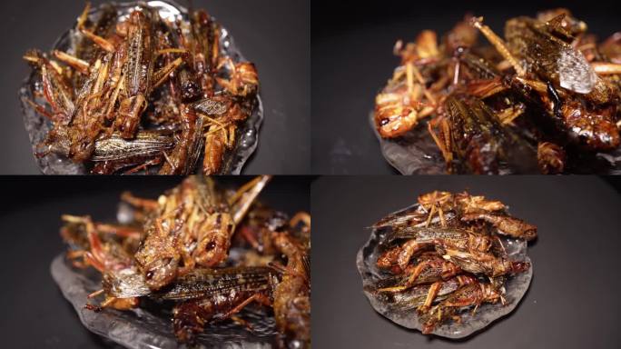 镜头合集油炸蚂蚱蟋蟀食用昆虫(2)