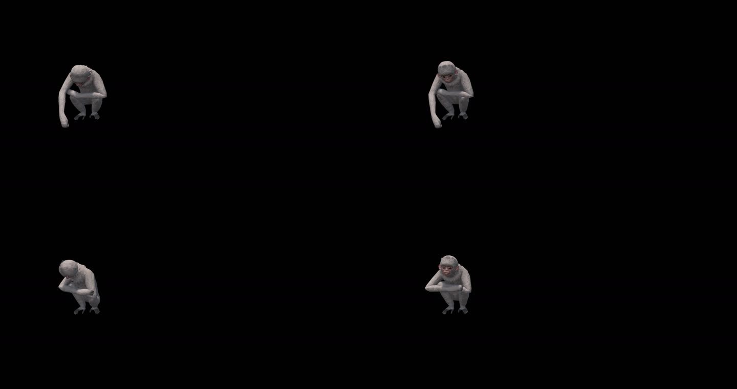 石猴动画三维动物带通道