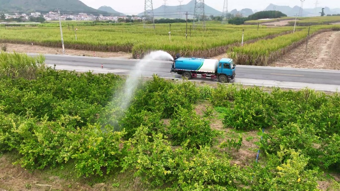 喷水车给果树浇水