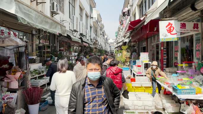 1花卉市场花鸟市场人流苏州花卉市场皮市街