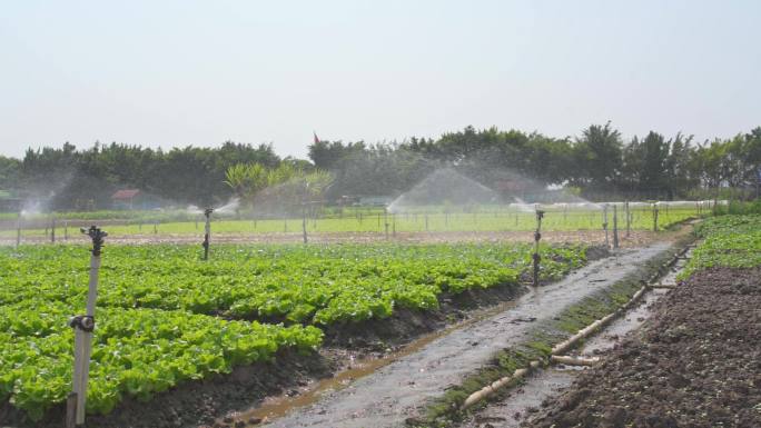 农田种植使用的自动灌溉喷淋系统