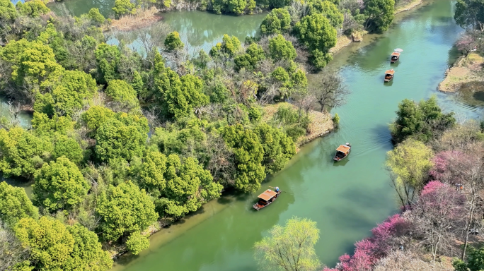 2023杭州西溪湿地梅花航拍