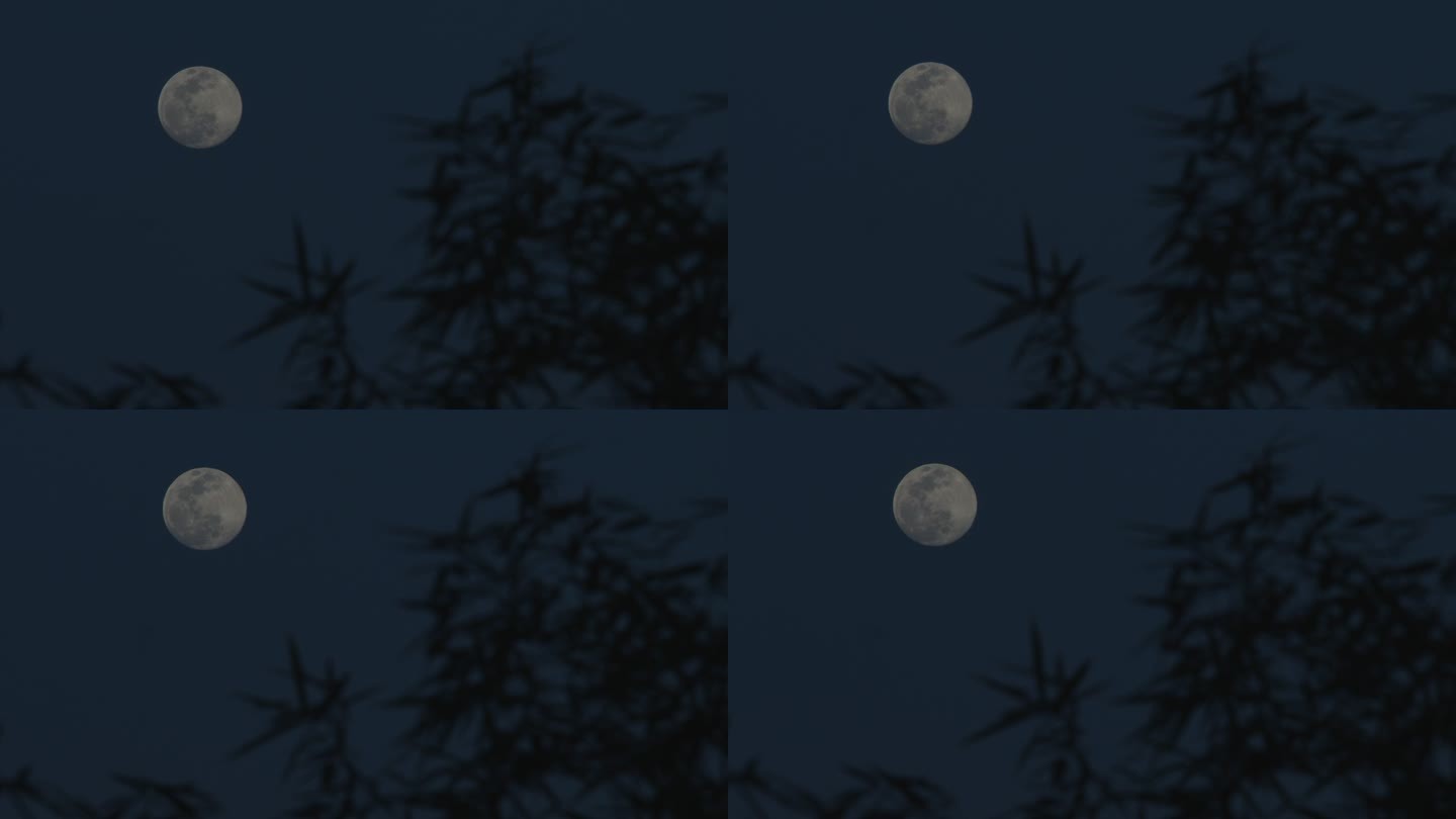 惊蛰夜晚满月空镜12-1080